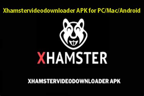 download xmaster|How To Download From xHamster